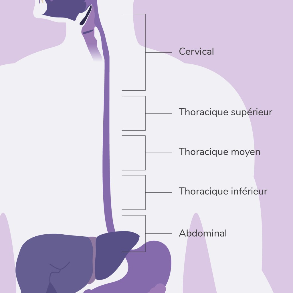 Carcinome epidermoide et adénocarcinome de l'oesophage | Mon Cancer