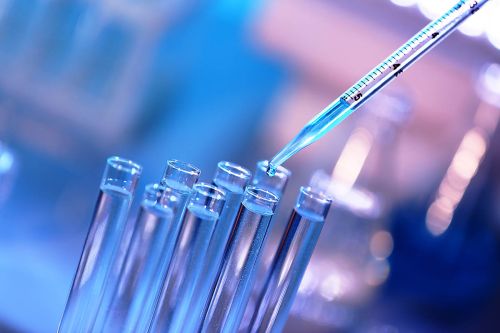Comment fut découverte l’immunothérapie anticancéreuse ?