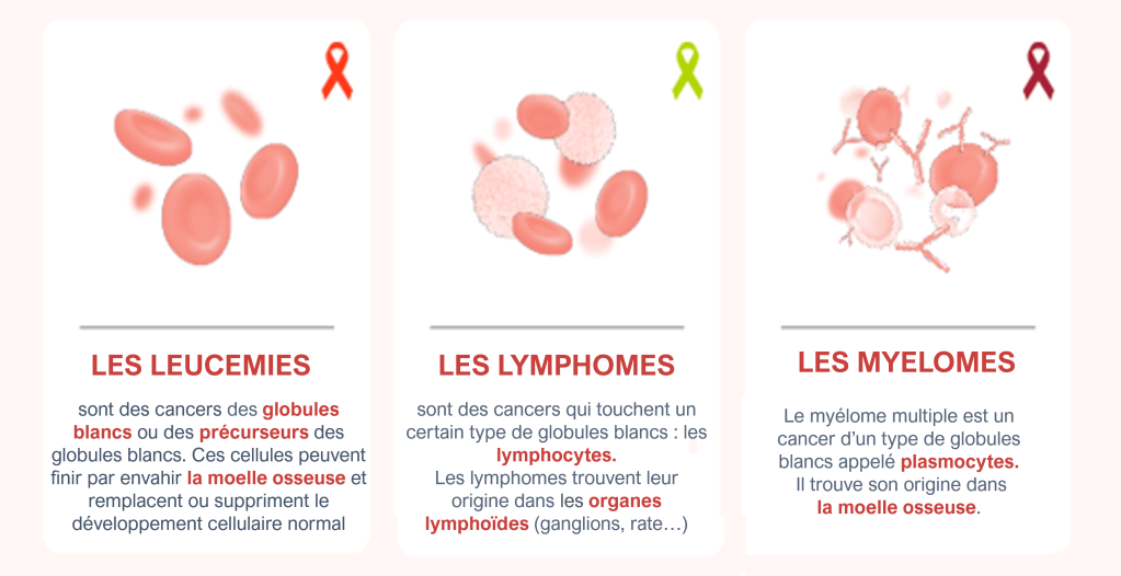 Les cancers du sang I Mon-Cancer