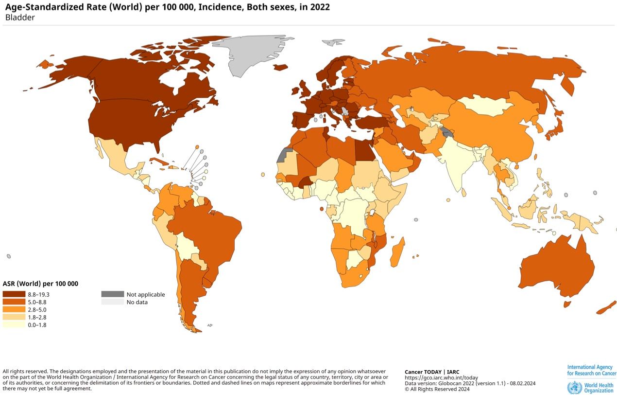 Taux standardisé par âge (monde) pour 100 000 habitants, incidence, les deux sexes, en 2022.- Bladder – Source OMS : Cancer Today (iarc.fr)