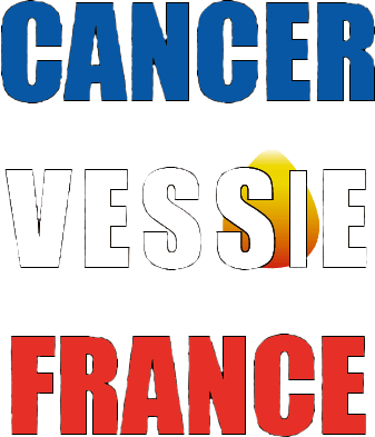 Cancer Vessie France