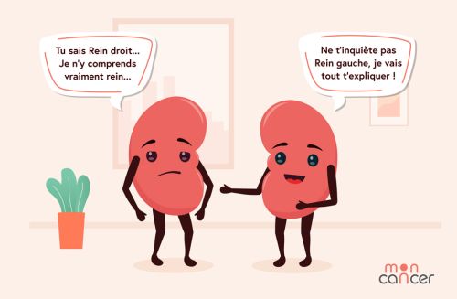 Illustration de deux reins dialoguant. 